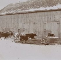 Omc1985.008.149 Image 600dpi